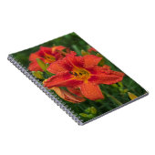Carnet Lily orange (Côté Droit)