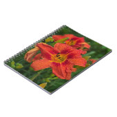 Carnet Lily orange (Côté gauche)