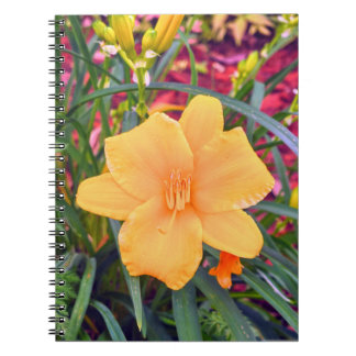Carnet Lily orange vif