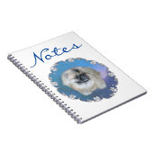 Carnet Lily Pékin sur fond bleu (Côté Droit)