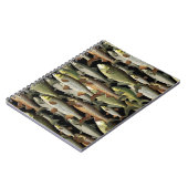 Carnet L'Imaginaire des pêcheurs (Côté gauche)