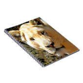 Carnet Lion (Côté Droit)