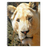 Carnet Lion (Devant)