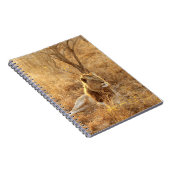 Carnet Lion (Côté Droit)