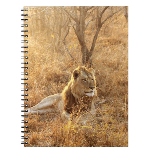 Carnet Lion (Devant)