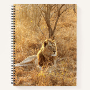 Carnet Lion