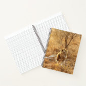 Carnet Lion (Intérieur)