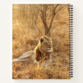 Carnet Lion (Dos)