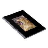 Carnet Lion (Côté Droit)
