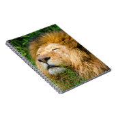 Carnet Lion (Côté Droit)