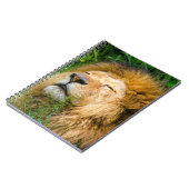 Carnet Lion (Côté gauche)