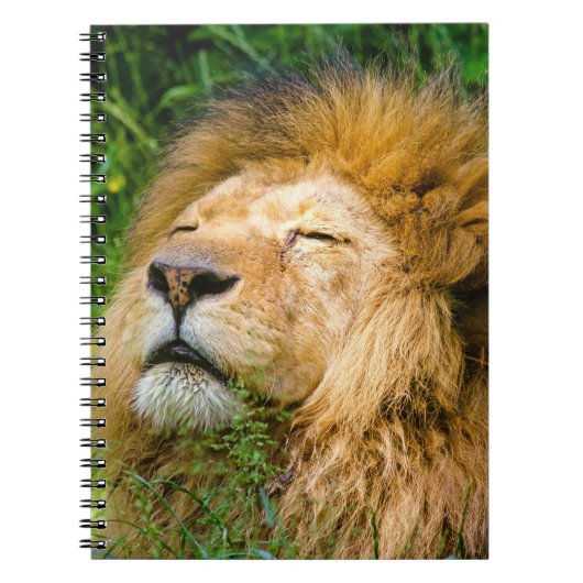 Carnet Lion (Devant)