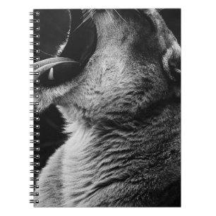 Carnet lion