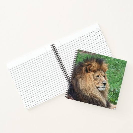 Carnet Lion 001 (Intérieur)