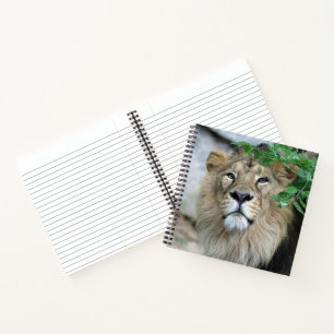 Carnet Lion 002
