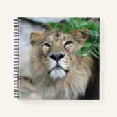 Carnet Lion 002 (Devant)