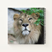 Carnet Lion 002 (Dos)