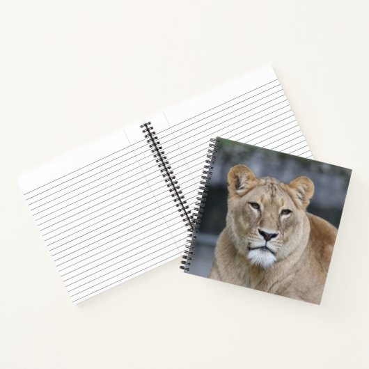 Carnet Lion 004 (Intérieur)