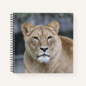Carnet Lion 004 (Devant)