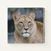 Carnet Lion 004 (Dos)