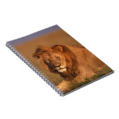 Carnet Lion 8 (Côté Droit)