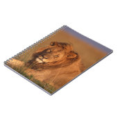 Carnet Lion 8 (Côté gauche)