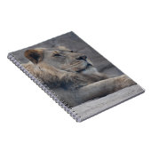 Carnet Lion africain (Côté Droit)