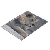 Carnet Lion africain (Côté gauche)