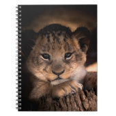 Carnet Lion Cub (Devant)