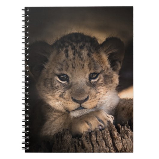 Carnet Lion Cub (Devant)