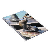 Carnet Lion de mer (Côté Droit)