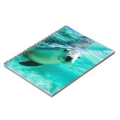 Carnet Lion de mer australien (Côté gauche)