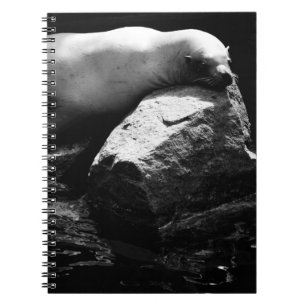 Carnet Lion de mer dormant .1781