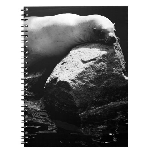 Carnet Lion de mer dormant .1781 (Devant)