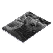 Carnet Lion de mer - Jolie photo de la faune (Côté gauche)