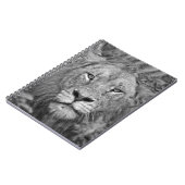 Carnet Lion de observation, Afrique du Sud (Côté gauche)