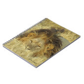 Carnet Lion Homme (Côté gauche)