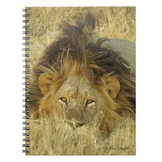 Carnet Lion Homme (Devant)