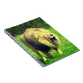 Carnet Lion mâle (Côté Droit)
