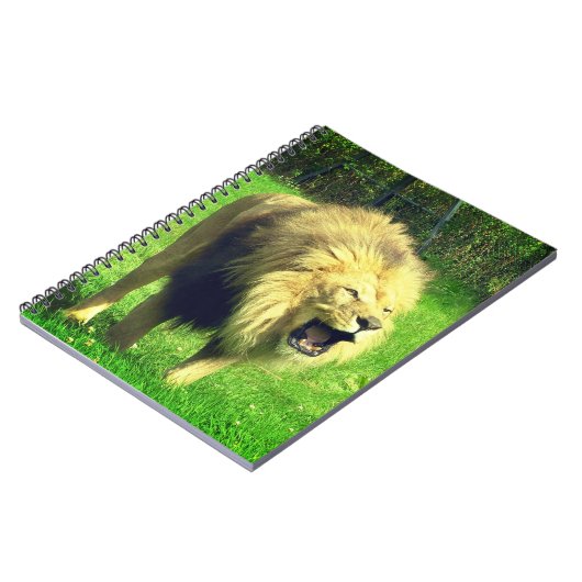 Carnet Lion mâle (Côté gauche)