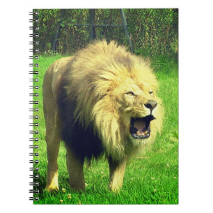 Carnet Lion mâle