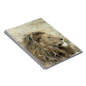 Carnet Lion mâle (Côté Droit)