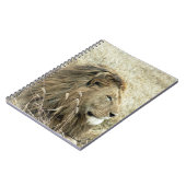 Carnet Lion mâle (Côté gauche)