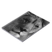 Carnet Lion noir et blanc (Côté gauche)