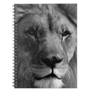 Carnet Lion noir et blanc