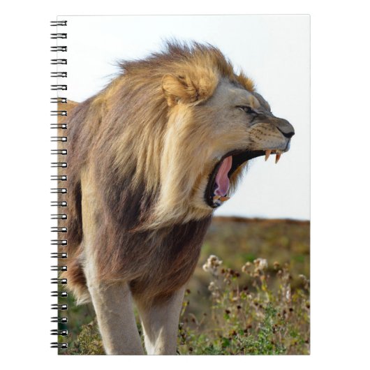 Carnet Lion rugissant plein de dents (Devant)