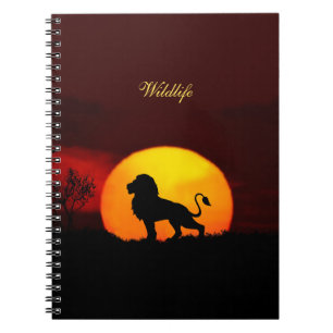 Carnet Lion sauvage, lever de soleil & calligraphie sur u