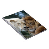 Carnet Lions (Côté Droit)
