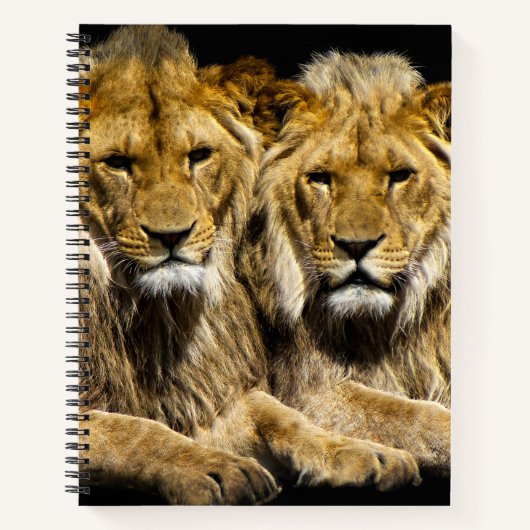Carnet Lions prédateurs dangereux (Devant)