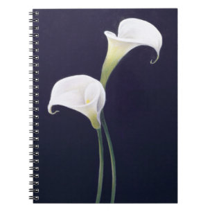 Carnet Lis